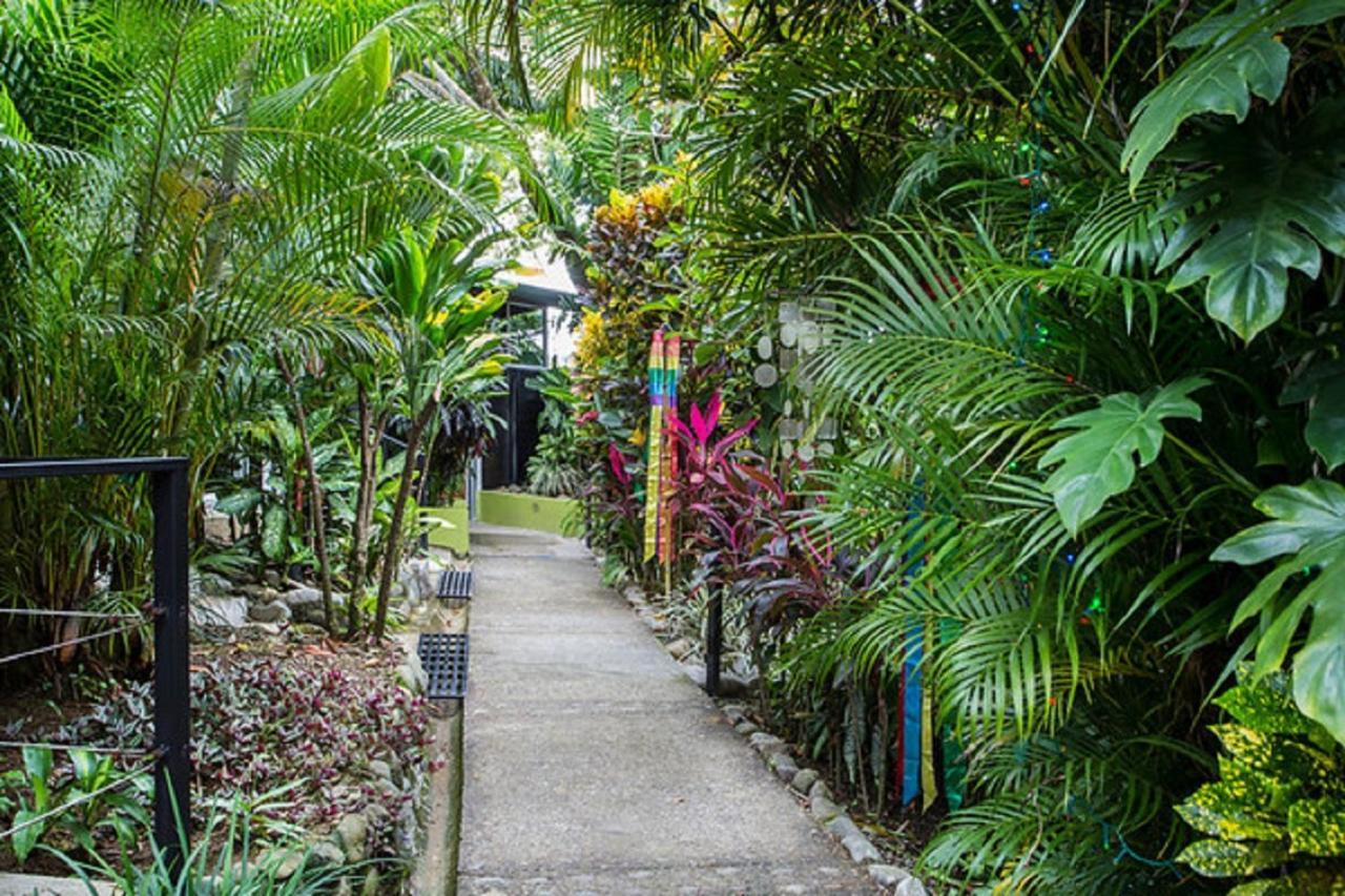 Tico Tico Villas - Adult Only Manuel Antonio Bagian luar foto